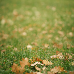 Beautiful Autumn