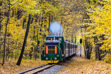 A mainline narrow-gauge diesel locomotive pulls a train of passenger cars along a railway line through an autumn forest with yellow leaves.