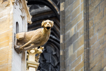 détail de la cathedrale de metz en france