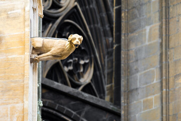 détail de la cathedrale de metz en france