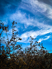 Beautiful autumn sky.