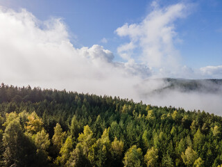 Valley fog is a fascinating meteorological phenomenon that forms due to the condensation of water...