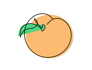 Drawing line apricot (peach, nectarine, plum) on the white background. Vector