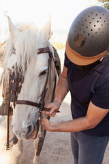 A rider adjusting his horse's reins