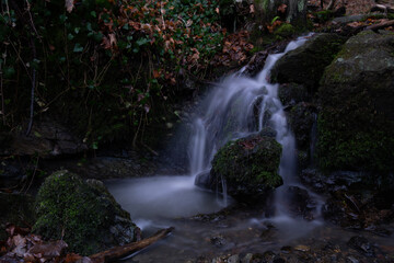 smooth motion of wild water in a river in summer with rocks and stones in the beautiful nature of a forest