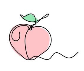 Drawing line apricot (peach, nectarine, plum) on the white background. Vector