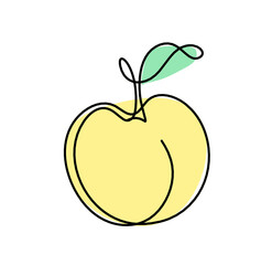 Drawing line apricot (peach, nectarine, plum) on the white background. Vector