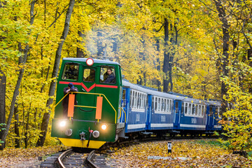 A mainline narrow-gauge diesel locomotive pulls a train of passenger cars along a railway line...