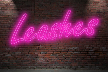 Neon BDSM dog leashes (in german Hundeleine) lettering on Brick Wall at night