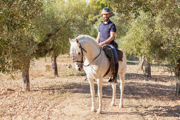 A rider on horseback among olive trees