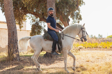 A rider mounted on a trotting horse