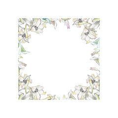 Watercolor frame with wild flowers. White background.