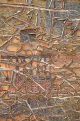 pintura vinilo acrílico agrietada panel cartel 4M0A6658-as21