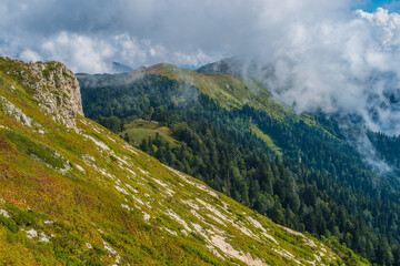 Fototapeta premium landscape in the mountains