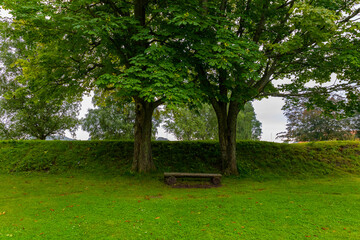 Fototapeta na wymiar Bench located in a quiet place between old trees in a beautiful park