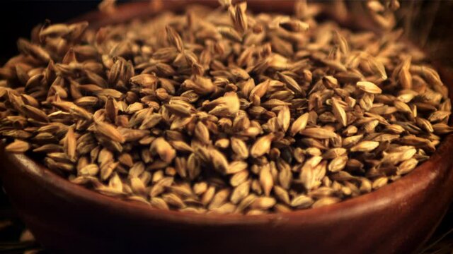 The super slow motion of barley grains fall into the plate against a black background. Filmed on a high-speed camera at 1000 fps.High quality FullHD footage