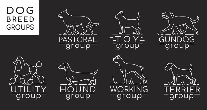 Dog breed groups logotypes in modern outlined style.