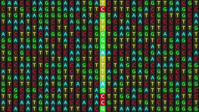Loopable: DNA genetic matching and analysis abstract background with color-coded DNA components A, T, G, C. Genomic data processing concept.
