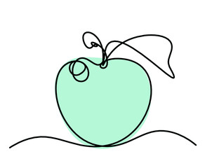 Drawing line color apple on the white background. Vector	