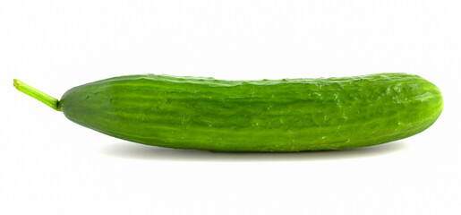Long green cucumber isolated on white background. Fresh vegetables