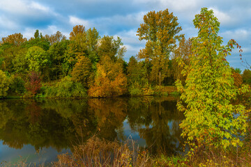 Fototapeta premium River Labe near central Bohemian town Kolin in autumn color morning