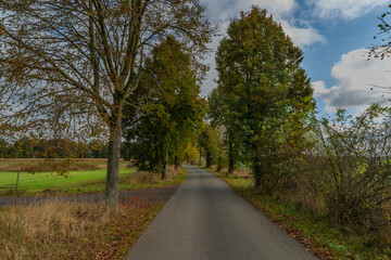 Fototapeta na wymiar Rural path with trees and blue sky with white clouds in autumn day