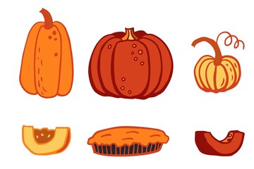 Pumpkin hand drawn set with sliced peaces and traditional pie. Autumn food and decorative elements for harvest, thanksgiving or halloween poster design. Vector illustration on white background.