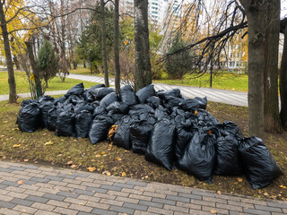Fototapeta na wymiar Lots of black plastic bags filled with fallen leaves. Moscow, Russia