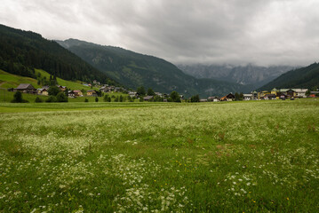 Fototapeta na wymiar Alpine green landscape in summer on a cloudy day, Gosau, Austria