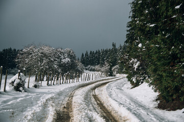 Un camino en medio del monte nevado con pinos a un lado y un valla al otro lado. 