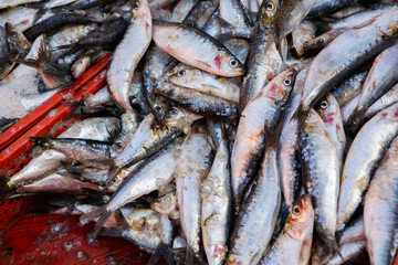 Morrocan local market on the streets with fish.