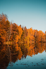 Calm morning view of a wild mountain lake with autumn nature. Harz Mountain, Harz National Park, Germany