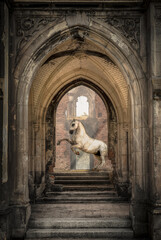 koń stojący dęba w średniowiecznym zamku - obrazy, fototapety, plakaty