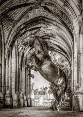 koń stojący dęba w średniowiecznym zamku