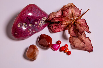 Natural Agate stone collection with wild seeds and dry flowers on white background. Elements for...
