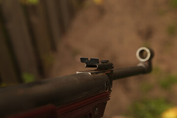An old air pistol sight