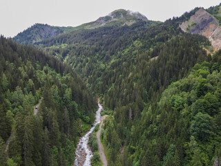 Panoramic view on green Alpine spruce and pine tree forests and meadows near...