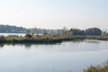 Autumn colors in different panorama shots in green and brown tones along the Danube near Bavaria