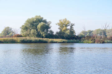 Autumn colors in different panorama shots in green and brown tones along the Danube near Bavaria
