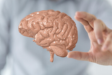 creativity  brain network neurogen digital iq