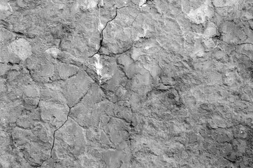 Black and white photo of old concrete wall with a lot of crackles for texture and background concept
