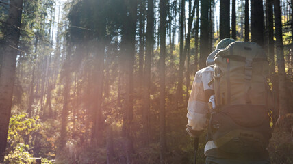 Back view of male hiker backpacker in highlands mountains. Man with heavy backpack relaxing standing on the rock looking around forward on pine trees.