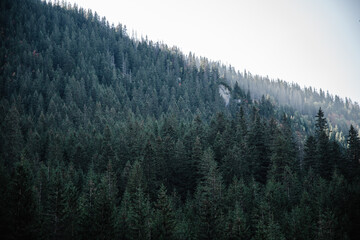 Scenic sunset at mountain range silhouette aerial view. The first or last rays of the sun. Mountains sunrise in the foggy morning above at mountain valley from drone.