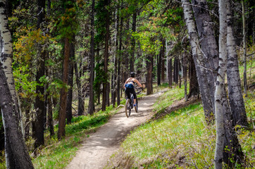 Obraz premium A young woman mountain biking along a forest trail