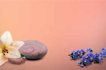 Background for cosmetic products of natural color background.