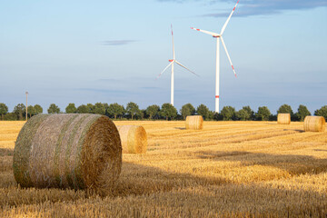 2 Windräder an einem Getreidefeld in Schleswig-Holstein