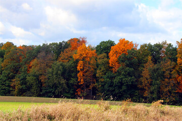 autumn landscape
