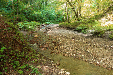 Mountain range, sources, hiking trail along the bank of a mountain river, natural stone, background, panoramic views of the mountainous terrain.