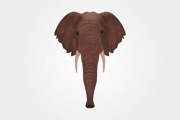 Fototapeta na wymiar Elephant head portrait watercolor paints. Vector illustration