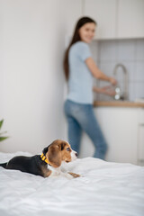 A woman washing the plates while her puppy sitting on bed